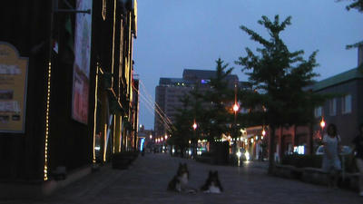 IMGA0089.JPG