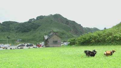 4cc04d79.JPG