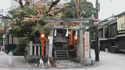 d77983c1.JPG