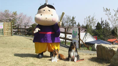 IMGA0872.JPG