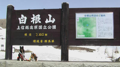 93c442ea.JPG