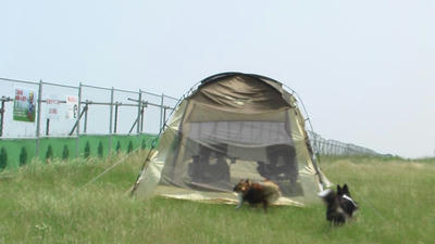 IMGA0088.JPG
