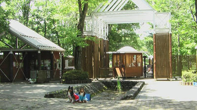 IMGA0215.JPG