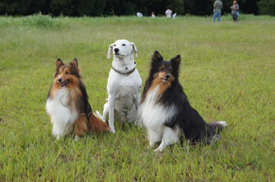 DSC00061.JPG