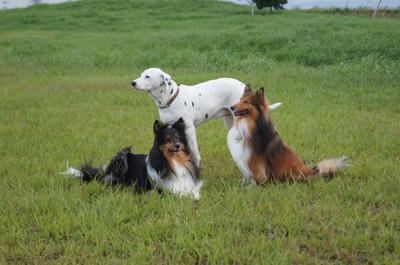 DSC00089.JPG