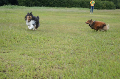 DSC00203.JPG