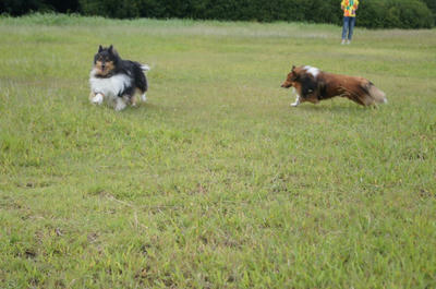 DSC00204.JPG
