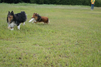 DSC00205.JPG