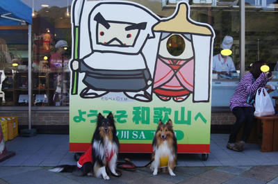 DSC00292.JPG