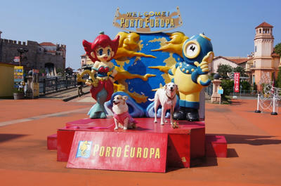 DSC00296.JPG