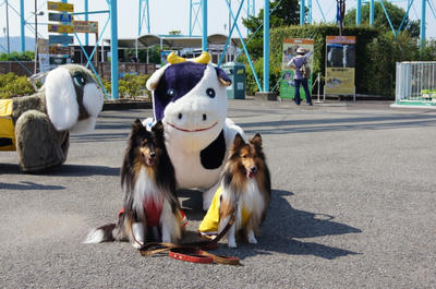 DSC00315.JPG