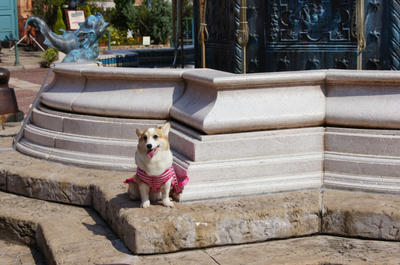 DSC00322.JPG