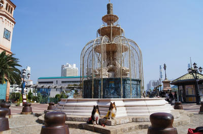 DSC00323.JPG