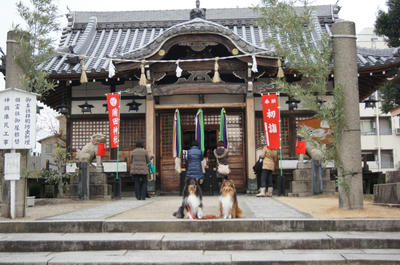 DSC00351.JPG
