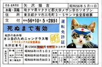 なめんなよ免許証