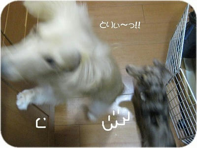 5ada88f9.jpeg