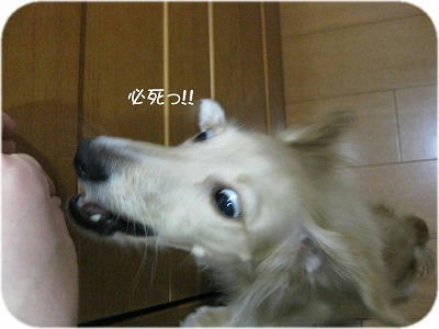 67d2a631.jpeg