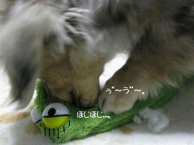 s-s-IMG_0465.jpg