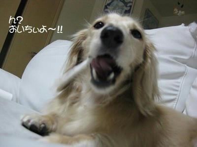 s-IMG_0504.jpg