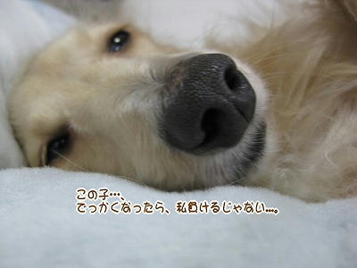 s-IMG_0839.jpg