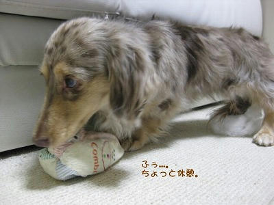 s-IMG_1030.jpg