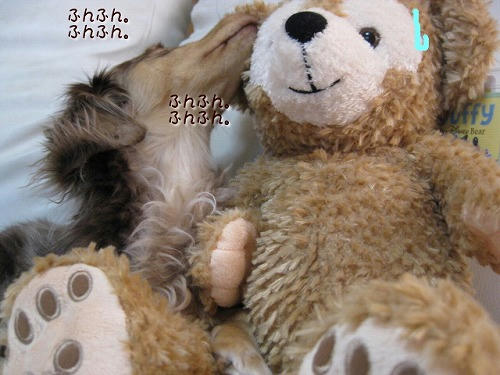 s-IMG_1111.jpg