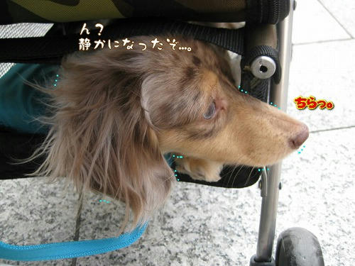 s-IMG_1259.jpg