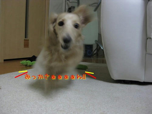 c831b919.jpeg