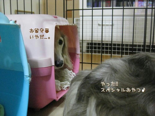 3f37775f.jpeg