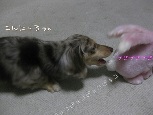 9524f9d8.jpeg