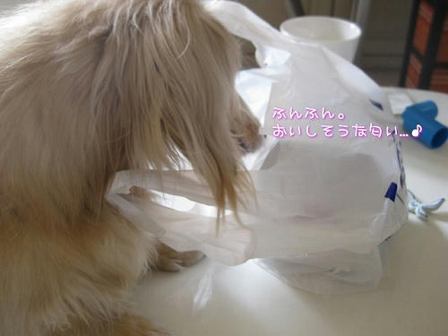 431348d4.jpeg