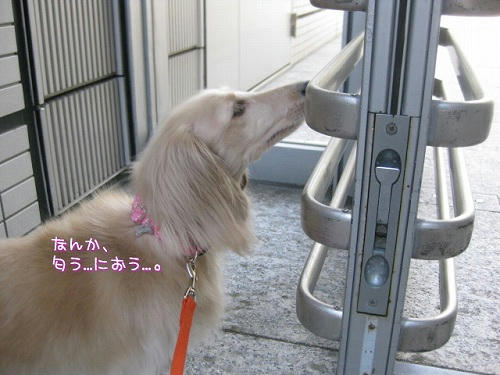 7b370962.jpeg