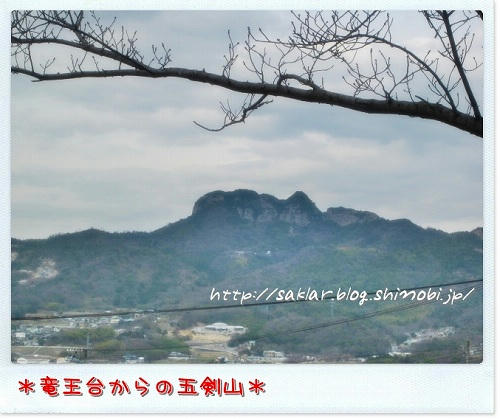 d805f903.jpeg