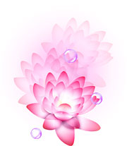 heart_flower14-1.jpg