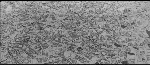image78.gif