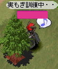 Queen お姿