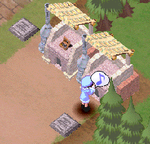 codu