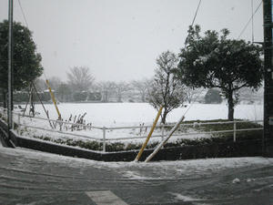 雪に覆われた世界