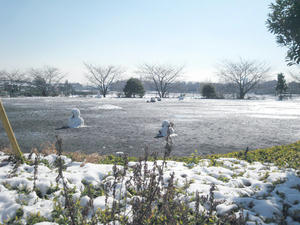 雪解けの公園