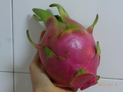 ドラゴンフルーツ（火龙果）