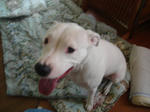 DSC05480.JPG