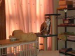 DSC05552.JPG
