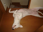 DSC05488.JPG