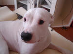 DSC05587.JPG