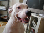 DSC05589.JPG