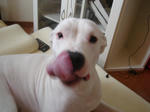 DSC05586.JPG