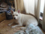 DSC05482.JPG