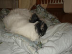 DSC05661.JPG