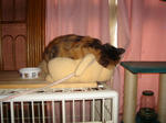 DSC05486.JPG
