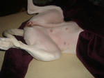DSC05633.JPG